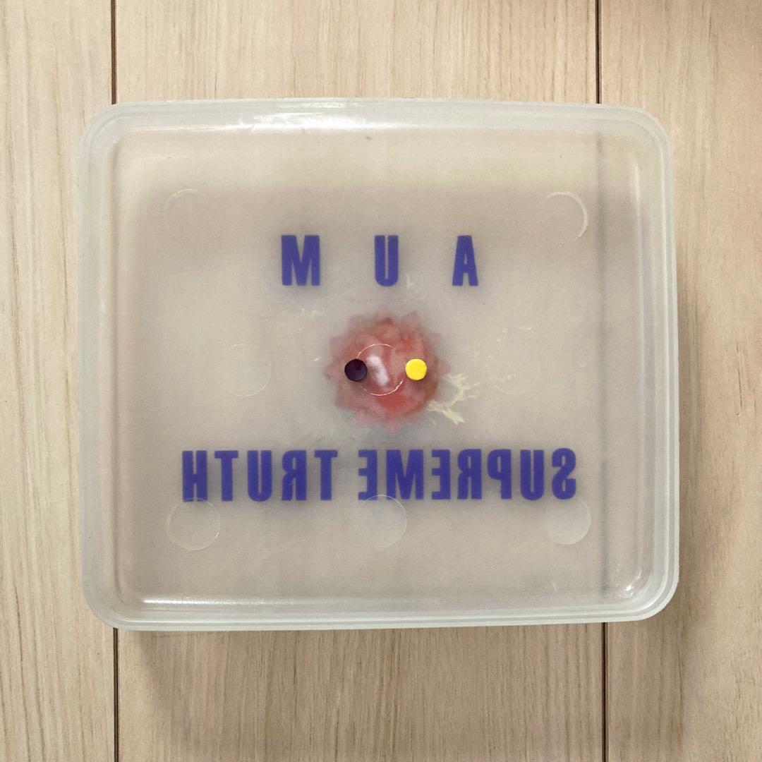 オウム真理教 当時物 プルシャ付タッパー