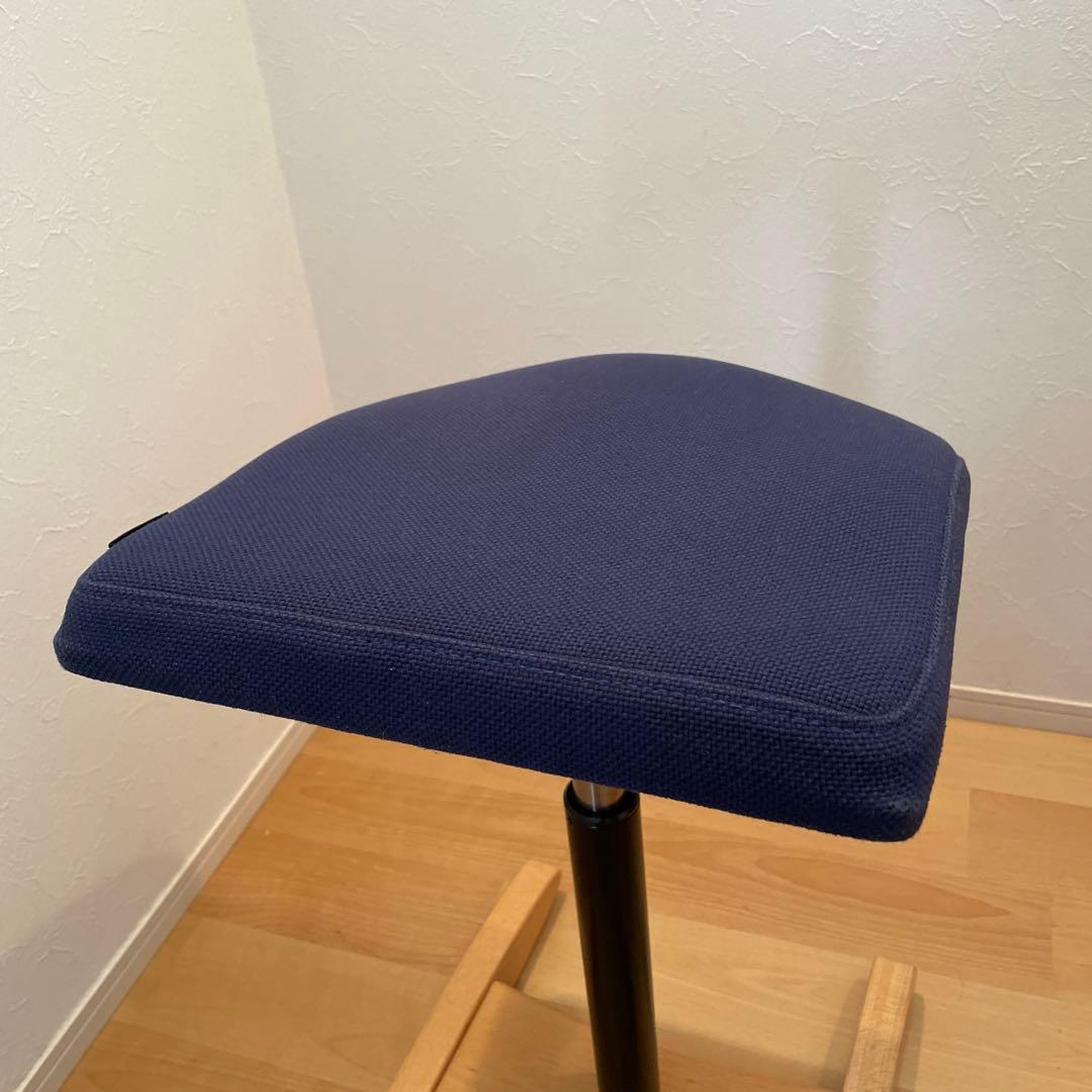 Balans Synergy バランスシナジー　スクエアシート　専用カバー付