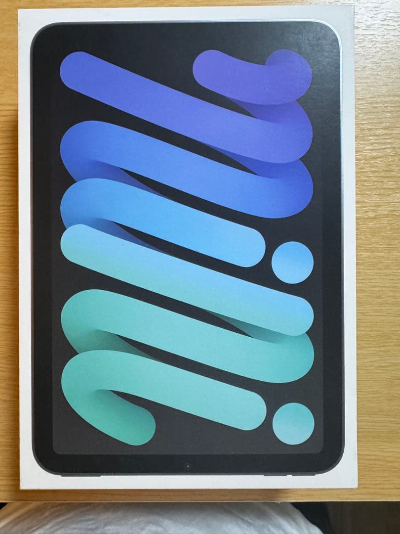 iPad mini 128G A17 Pro 7世代 AppleCare加入済み