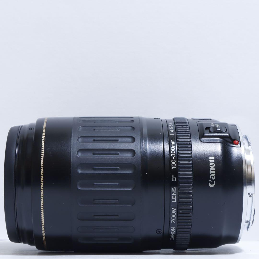 ◇超望遠&高速AF◇Canon純正 300mm 望遠レンズ!!◇