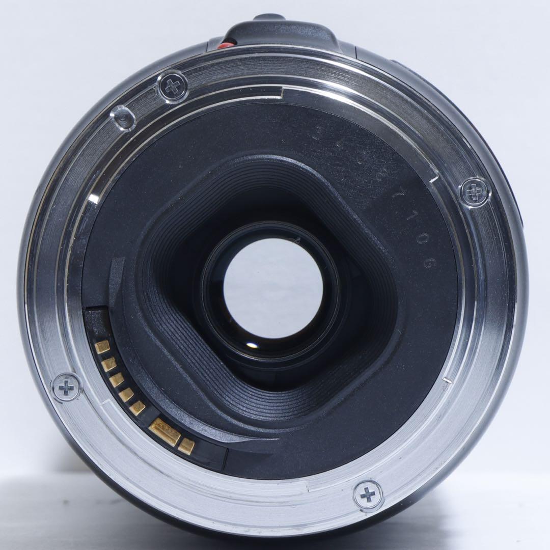 ◇超望遠&高速AF◇Canon純正 300mm 望遠レンズ!!◇