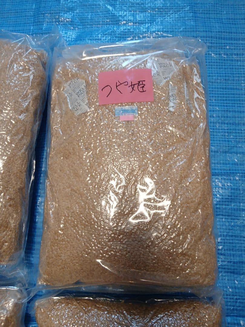 令和３年産　山形県産　つや姫　玄米20㎏（5kg×4袋） 古米　訳あり　備蓄米