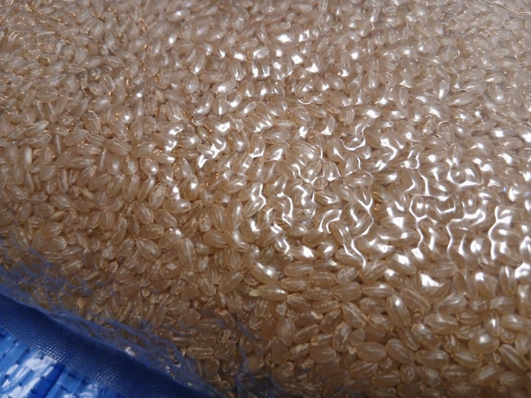 令和３年産　山形県産　つや姫　玄米20㎏（5kg×4袋） 古米　訳あり　備蓄米