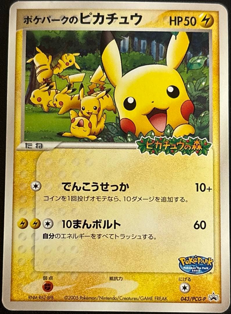 ポケパークのピカチュウ　プロモ