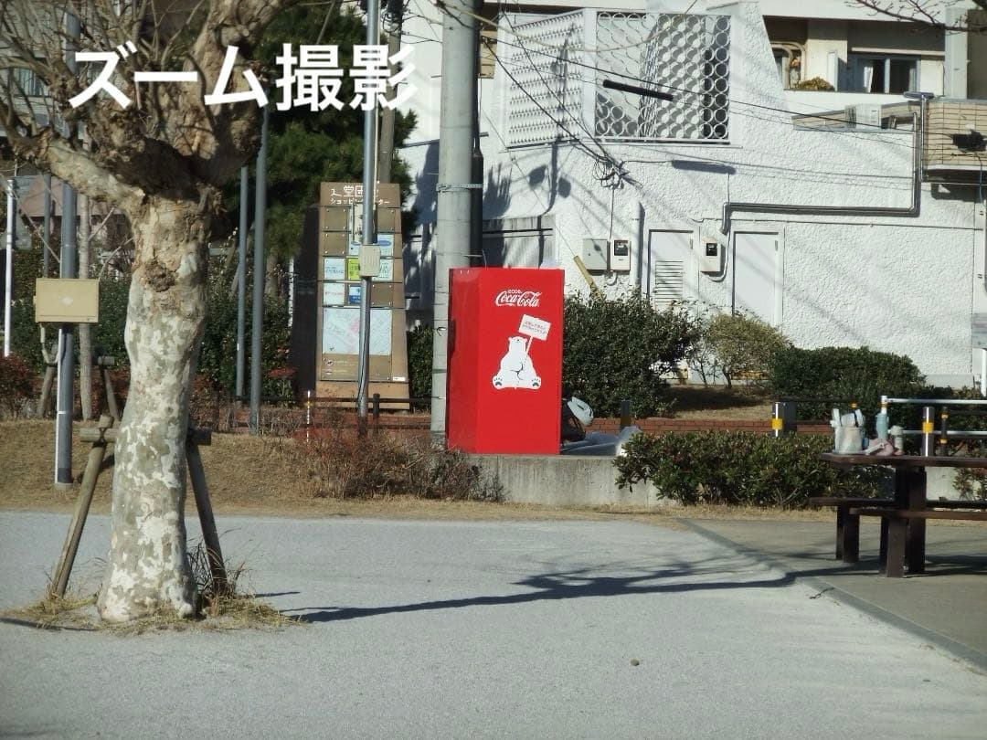 実写美⭕️美品/訳有【動作確認済】FUJIFILM FINEPIX F70EXR