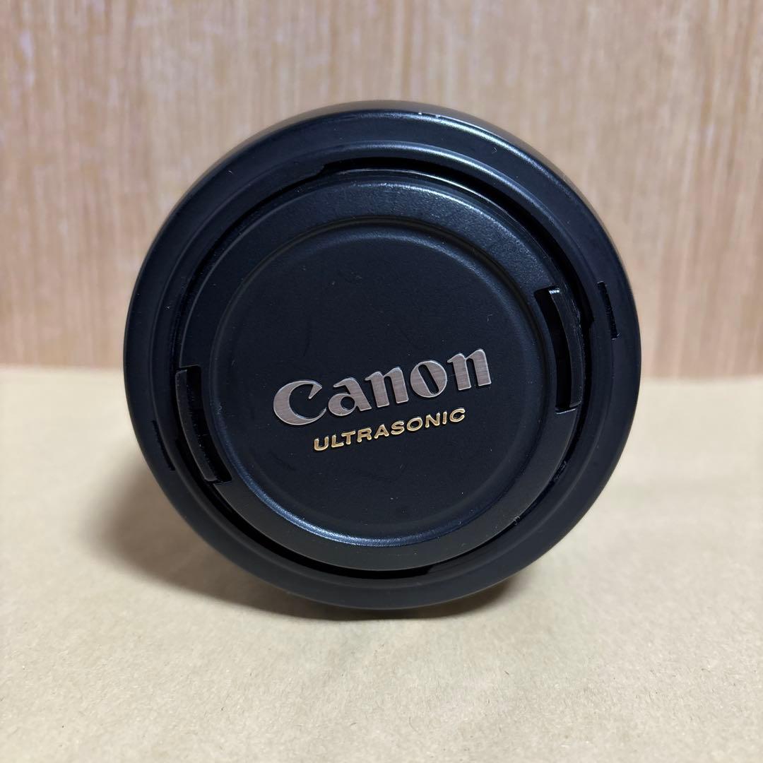 Canon EF 75-300mm f/4-5.6 IS ズームレンズ