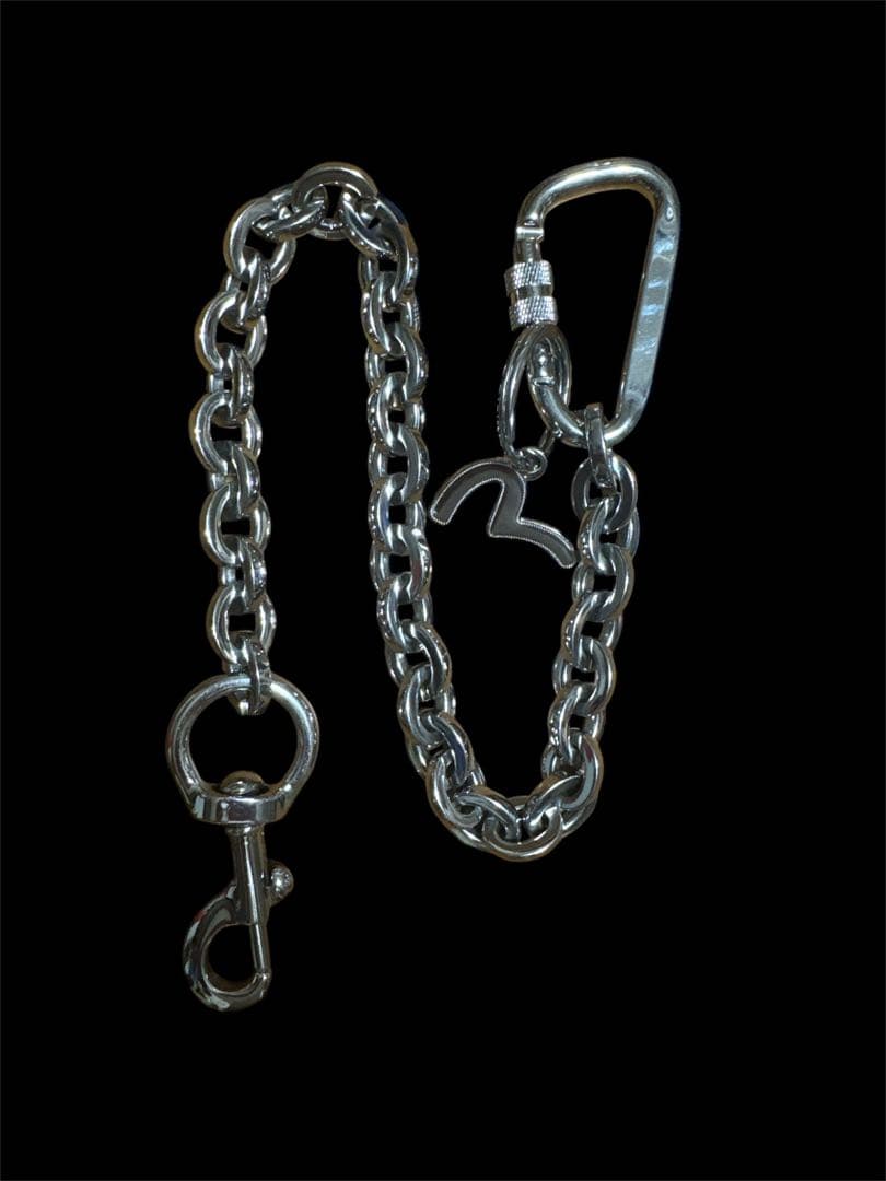 【値下げ】evisu エヴィス　カモメマーク　ウォレットチェーン 限定生産