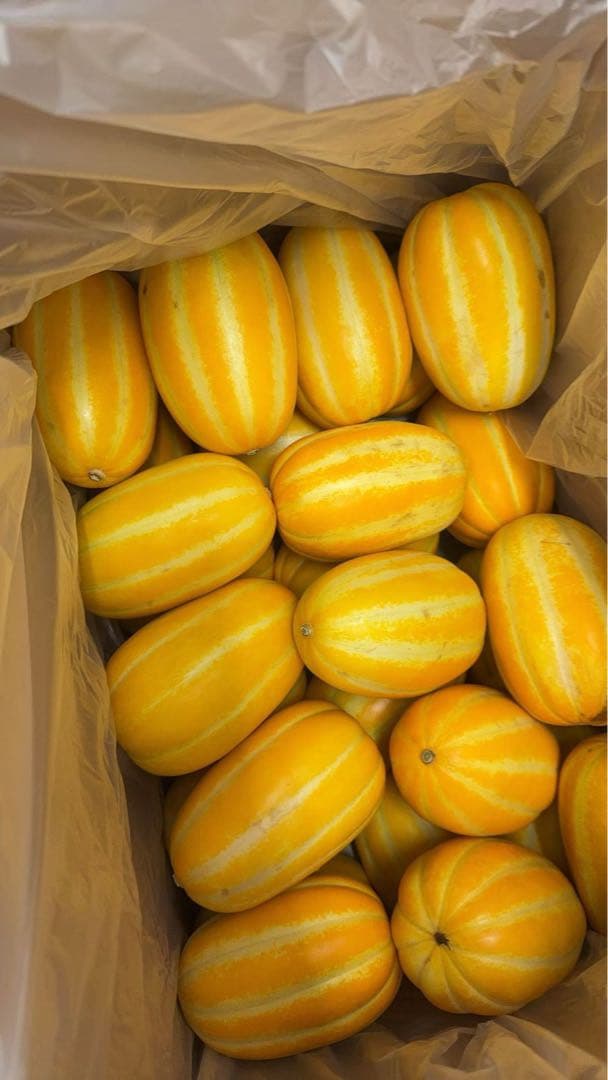 韓国チャメ約5kg