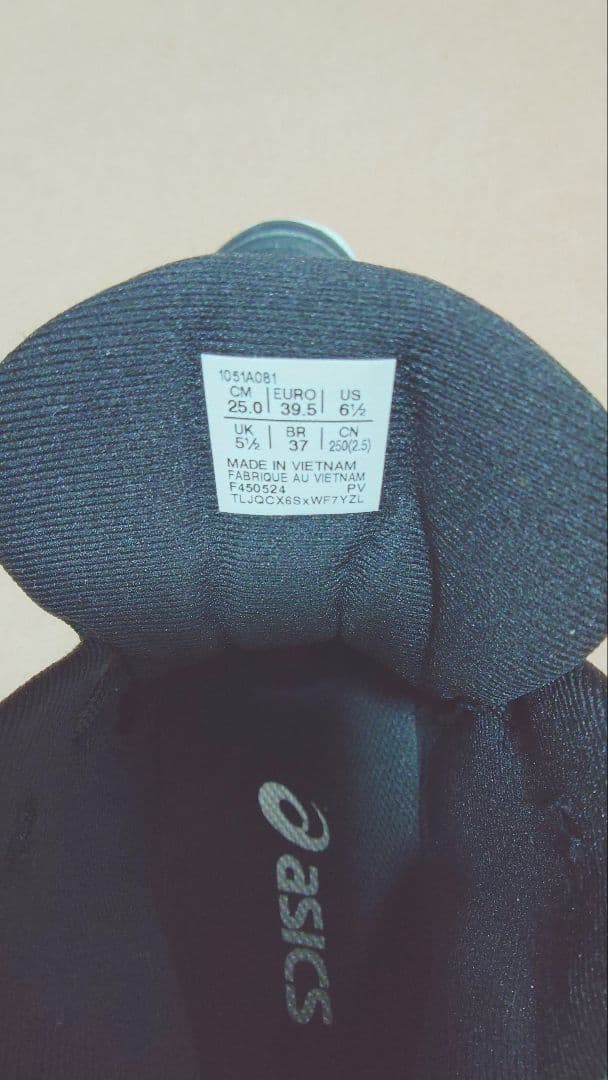 ASICS バレーボールシューズ高橋藍モデル 25.0cm ブラック