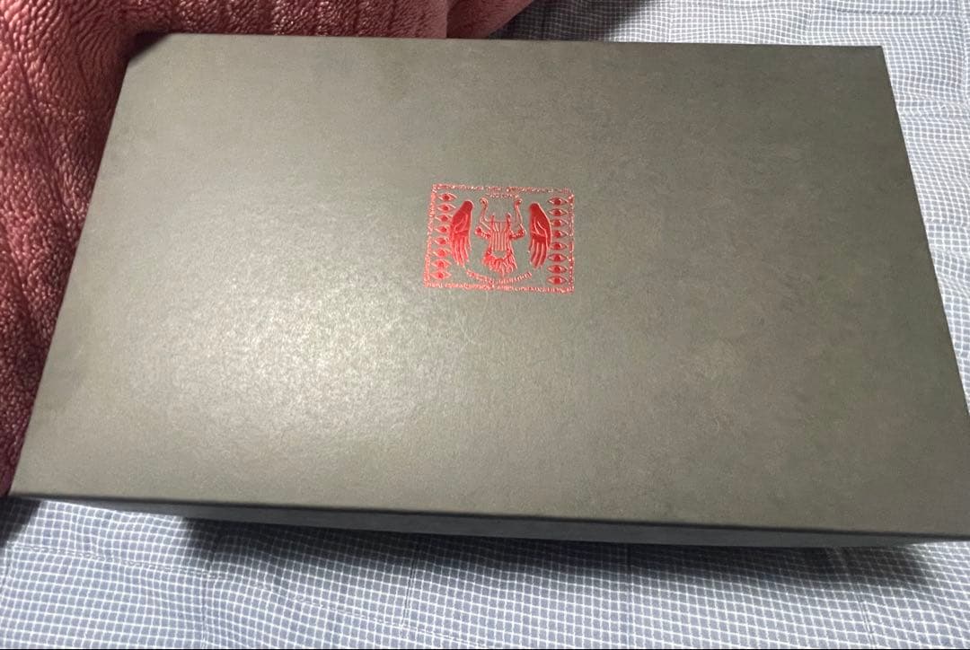 <さいさいさん専用>惹きずり込まれる運命のドレスシューズ　black×red