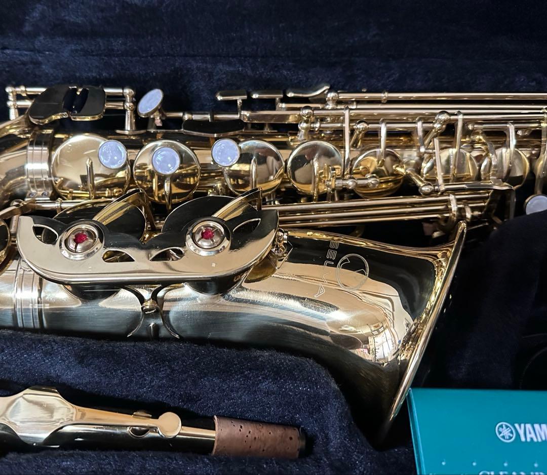 SELVA SAS100KI 入門用 アルトサックス ゴールドラッカー仕上げ