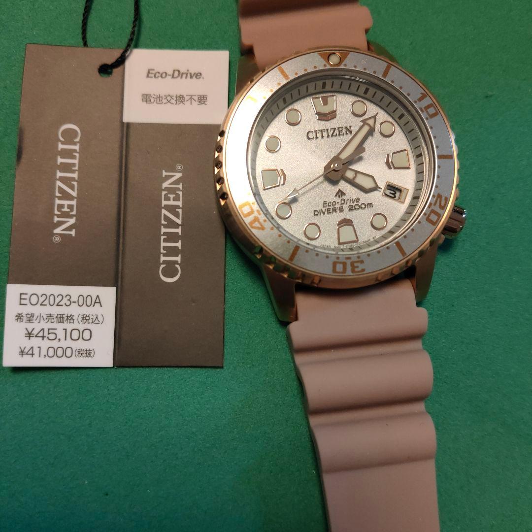 CITIZEN Eco-Drive レディース バンド替えメンズ使用できます。
