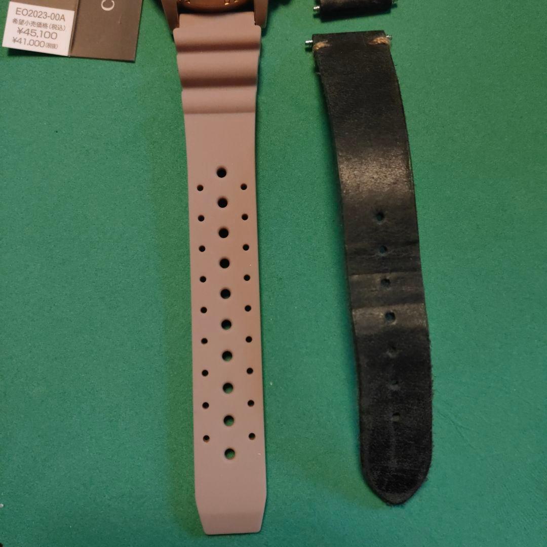 CITIZEN Eco-Drive レディース バンド替えメンズ使用できます。