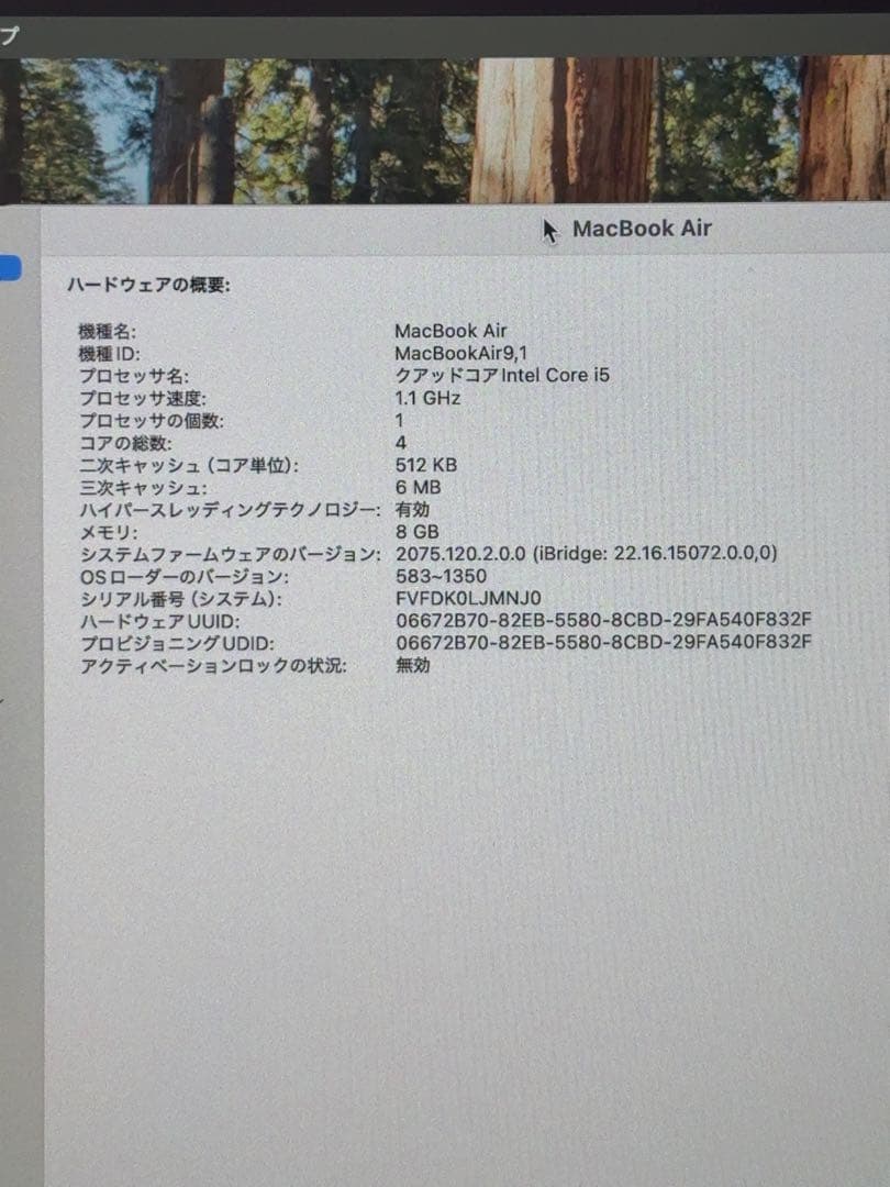 MacBook本体 MacBook Air Retina 2020 i5 8GB 256GB