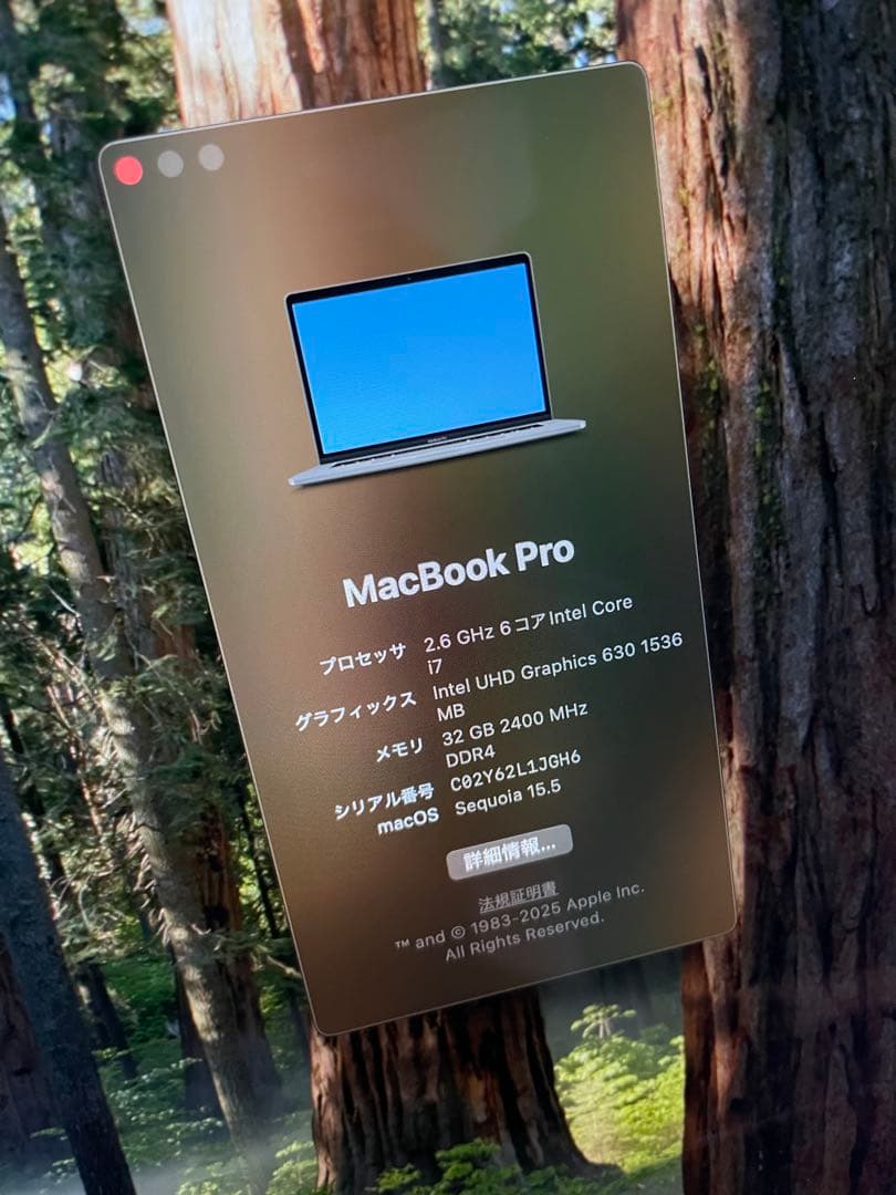 Apple MacBook Pro 15.4インチ32GB 1TB corei7