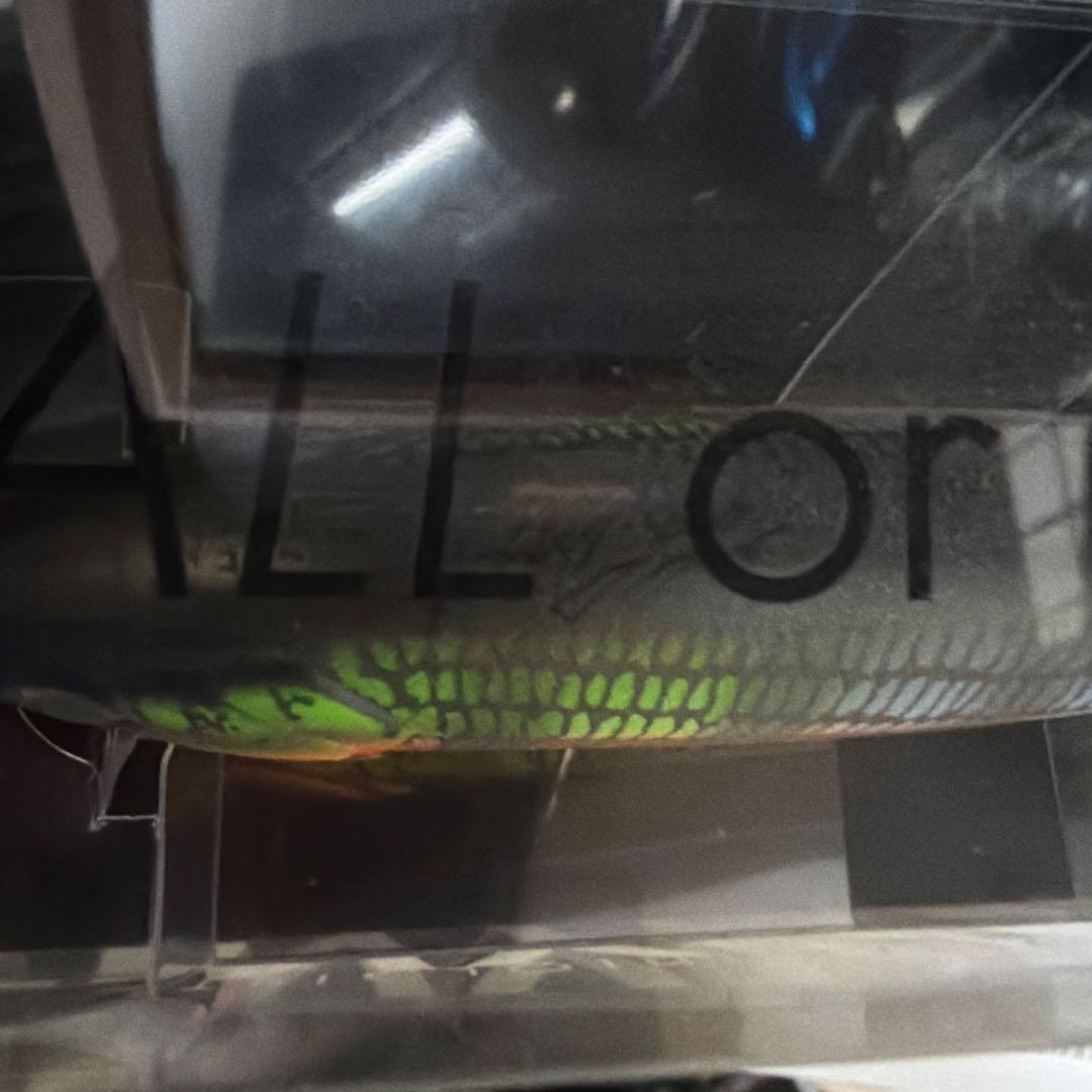 タイニークラッシュ ラッドセンス #NNF #NEOCLASSIC DRT 新品