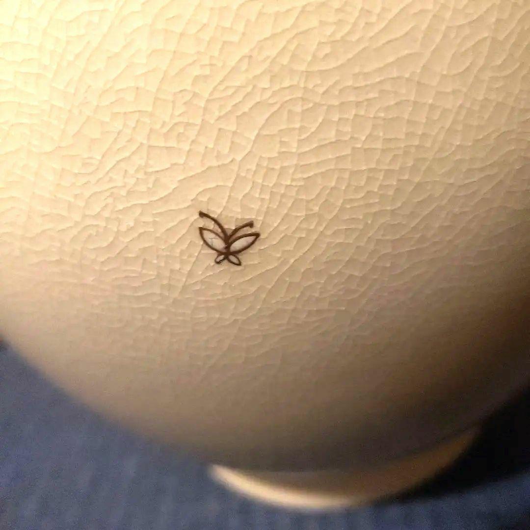 薩摩焼 十五代沈壽官作(ちんじゅかん)白薩摩九寸花瓶 本金秋草