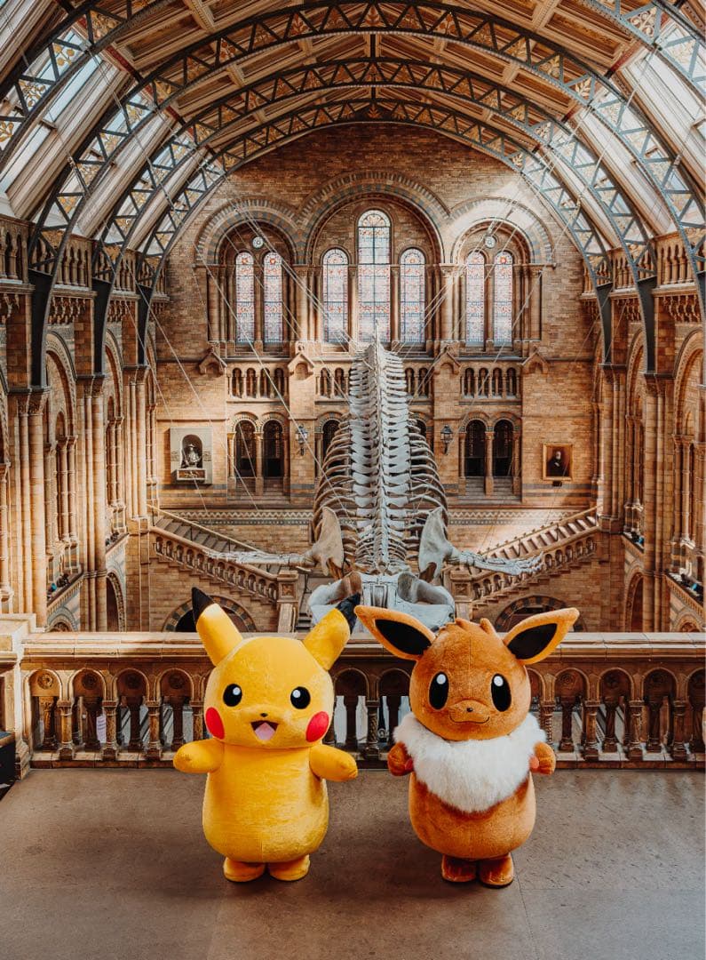 Pikachu at the Museum ポケモン 博物館 コラボ　プロモ