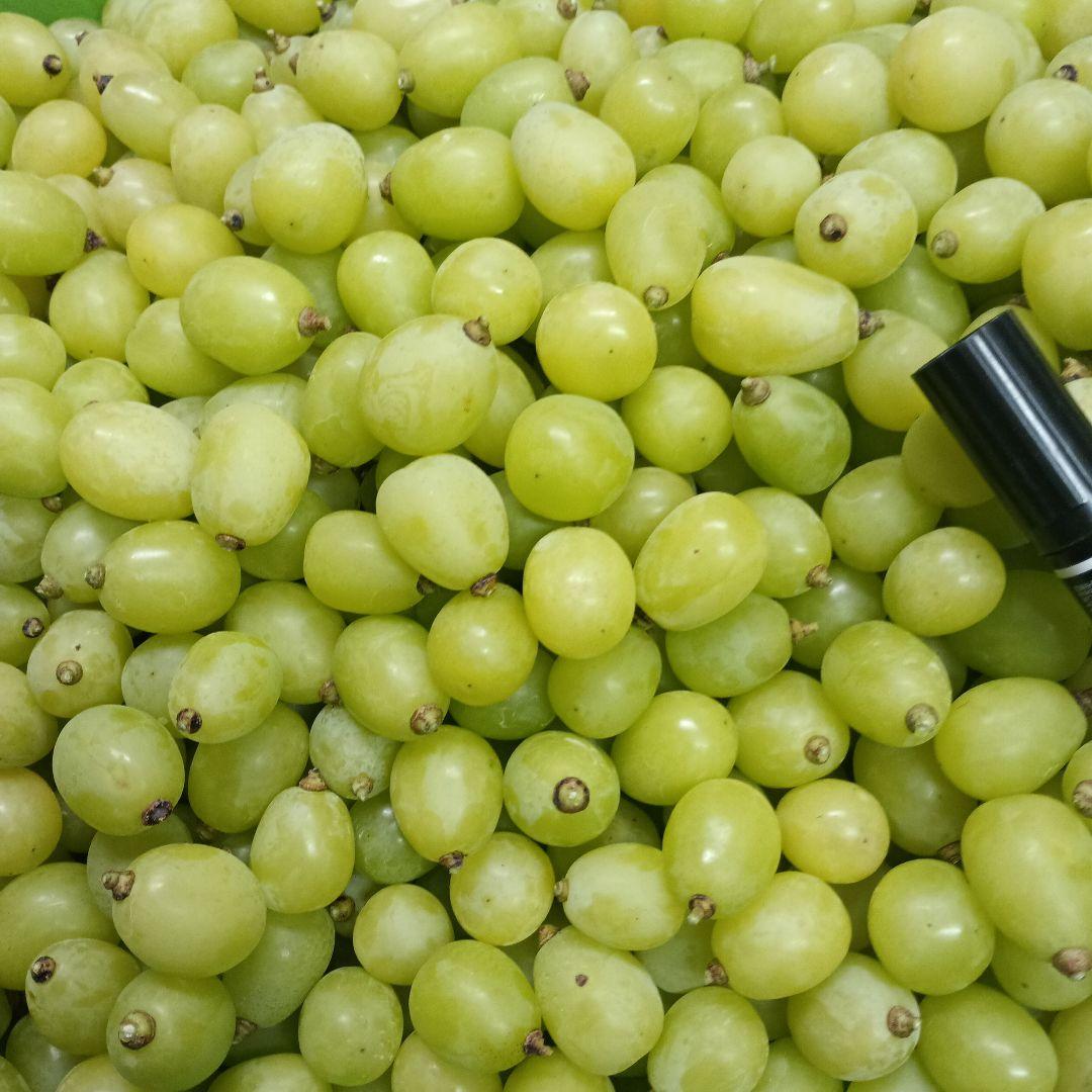 シャインマスカットの大粒グリーン多め入り、5キロ粒バック入りになります。