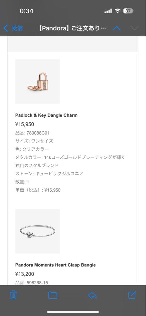 アクセサリー Padlock and Key Dangle Charm