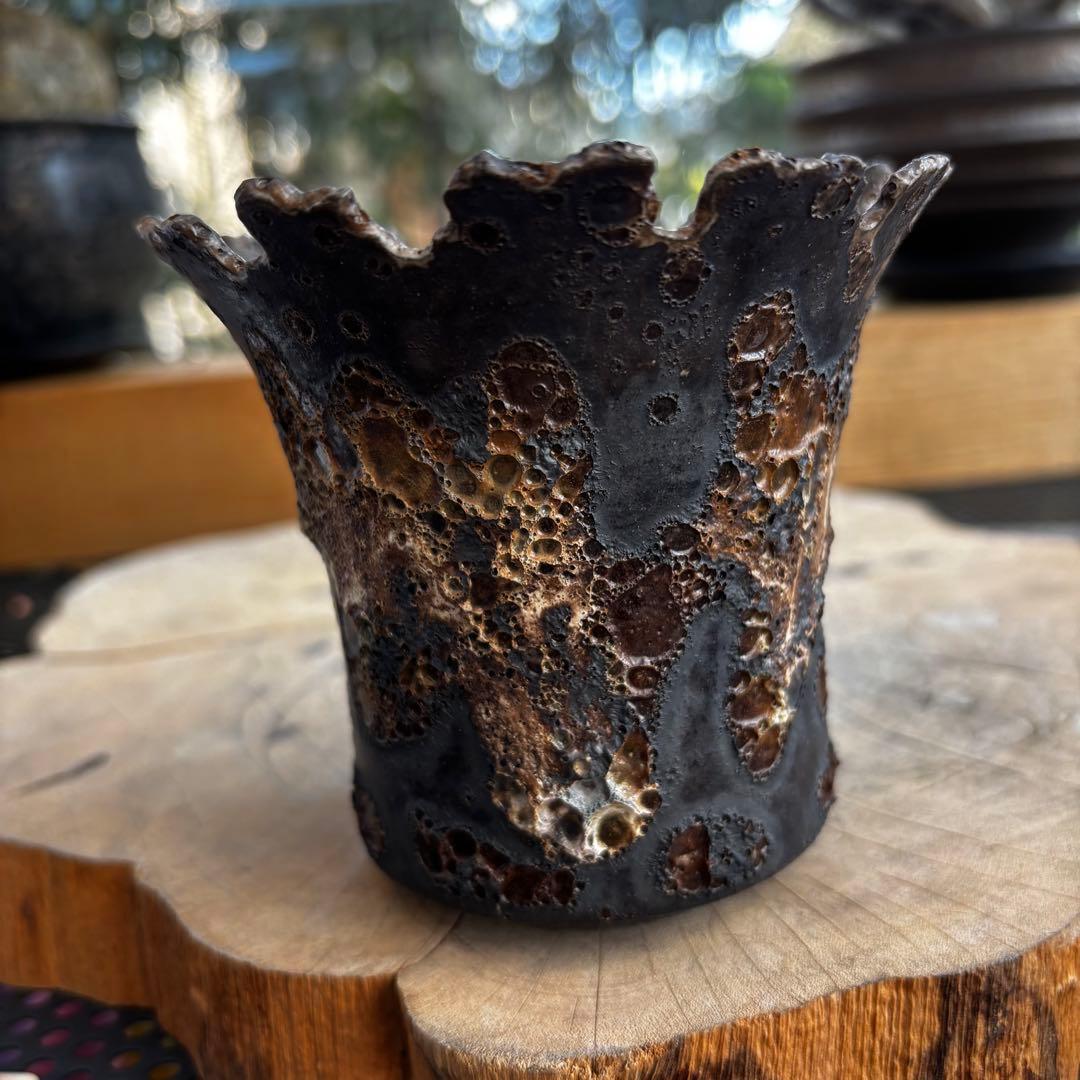 美品 中川智治 作家鉢 植木鉢 発泡 アガベ グラキリス パキプス 塊根