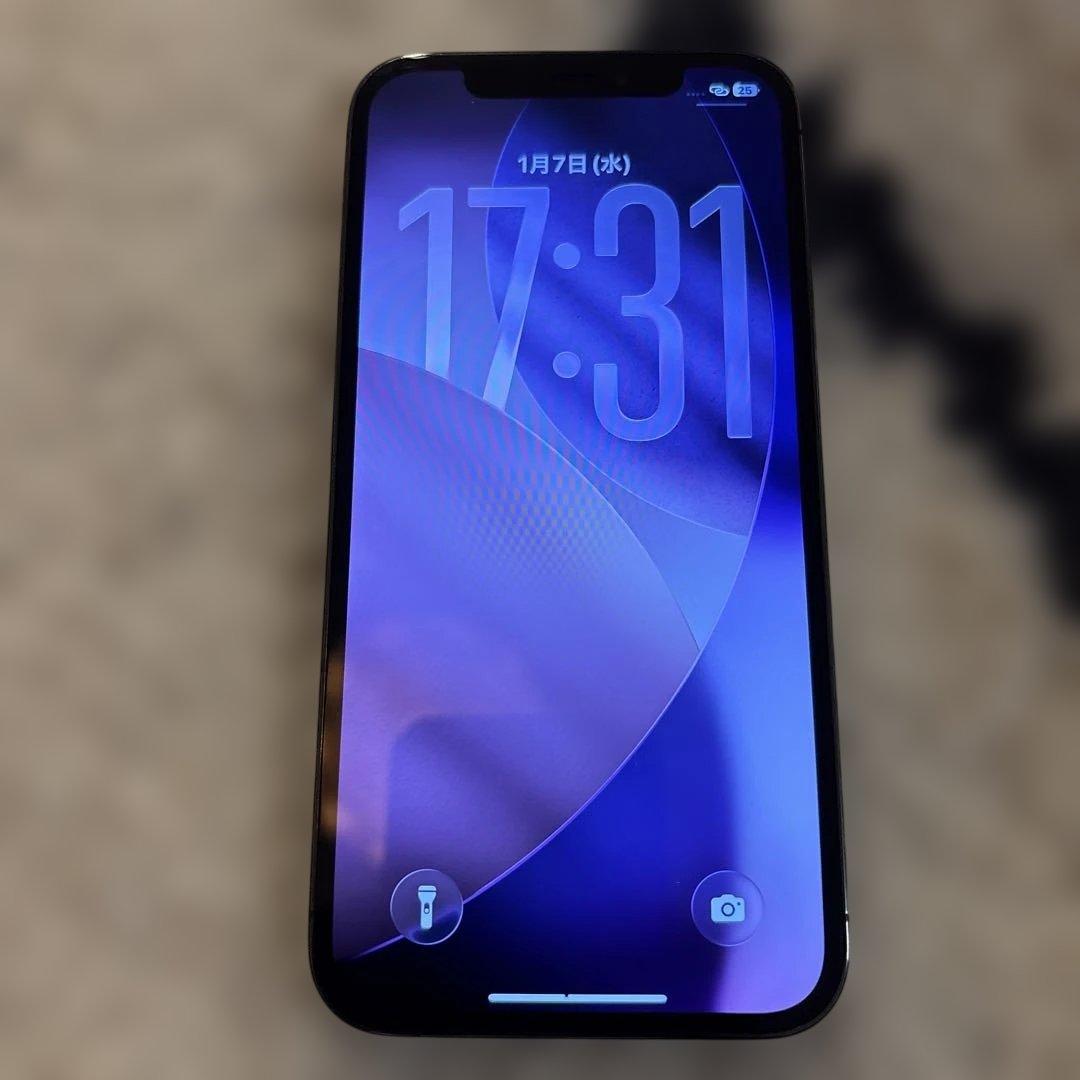 Apple iPhone Pro 12 グラファイト　ブラック　本体