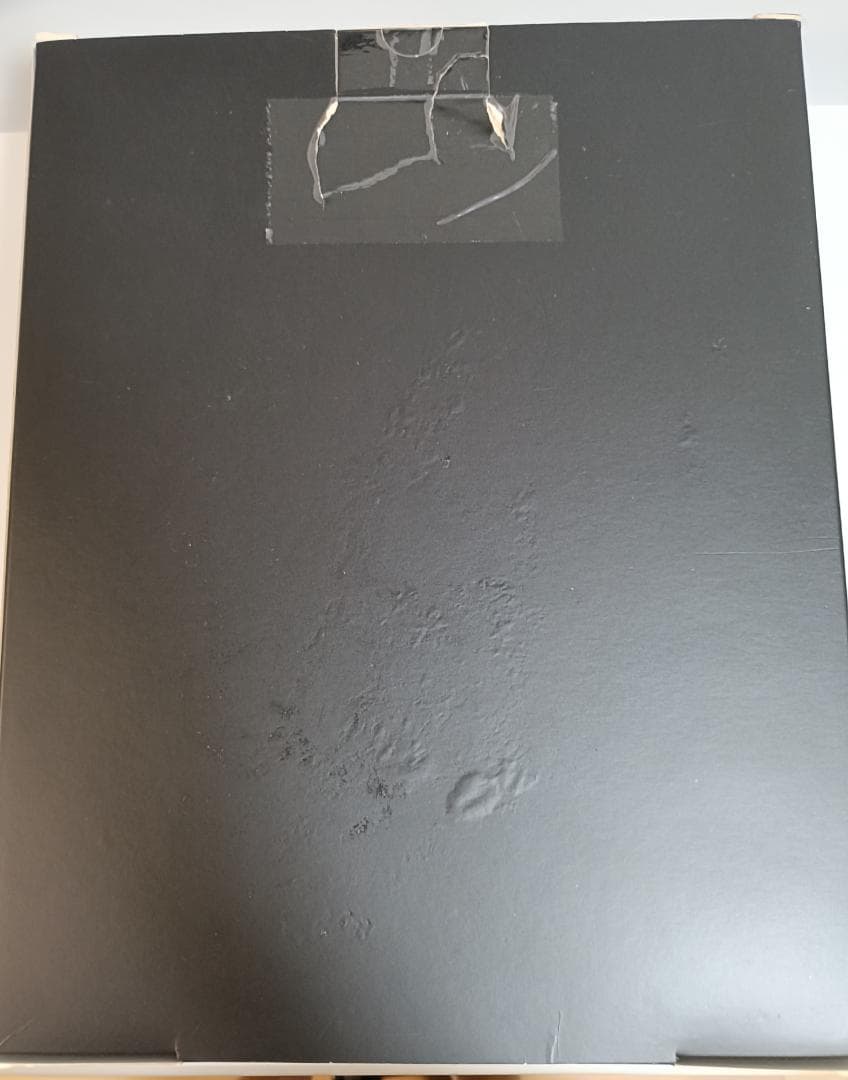 有線ヘッドホン SENNHEISER HD660s