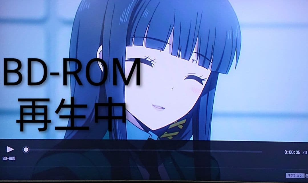 1/11迄/ソニー/BDZ-FW1000/1TB/4K出力対応/外付HDD対応