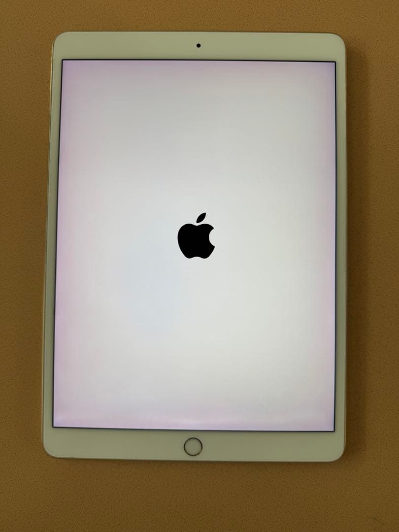 Ipad Pro 10.5インチ256GB