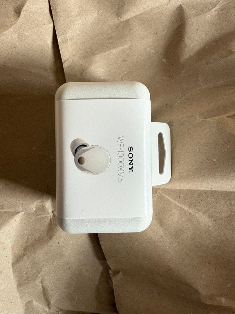 数量限定　ソニー ワイヤレス イヤホン WF1000XM5S