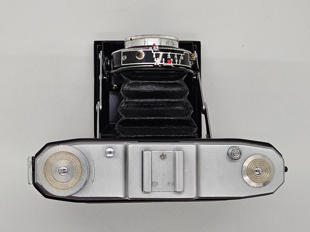 ZEISS IKON NETTAR 517/16　6×6 中判カメラ 動作品