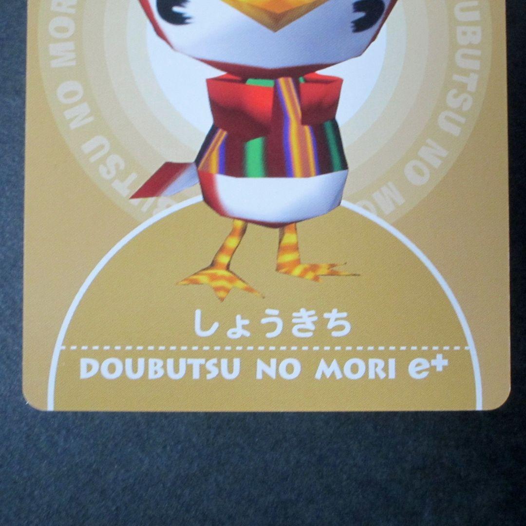 どうぶつの森カードe＋ PRカード しょうきち