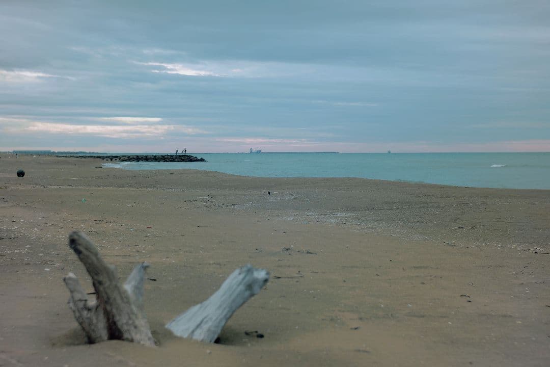 PENTAX HD PENTAX-D FA★ 50mm F1.4 SDM AW