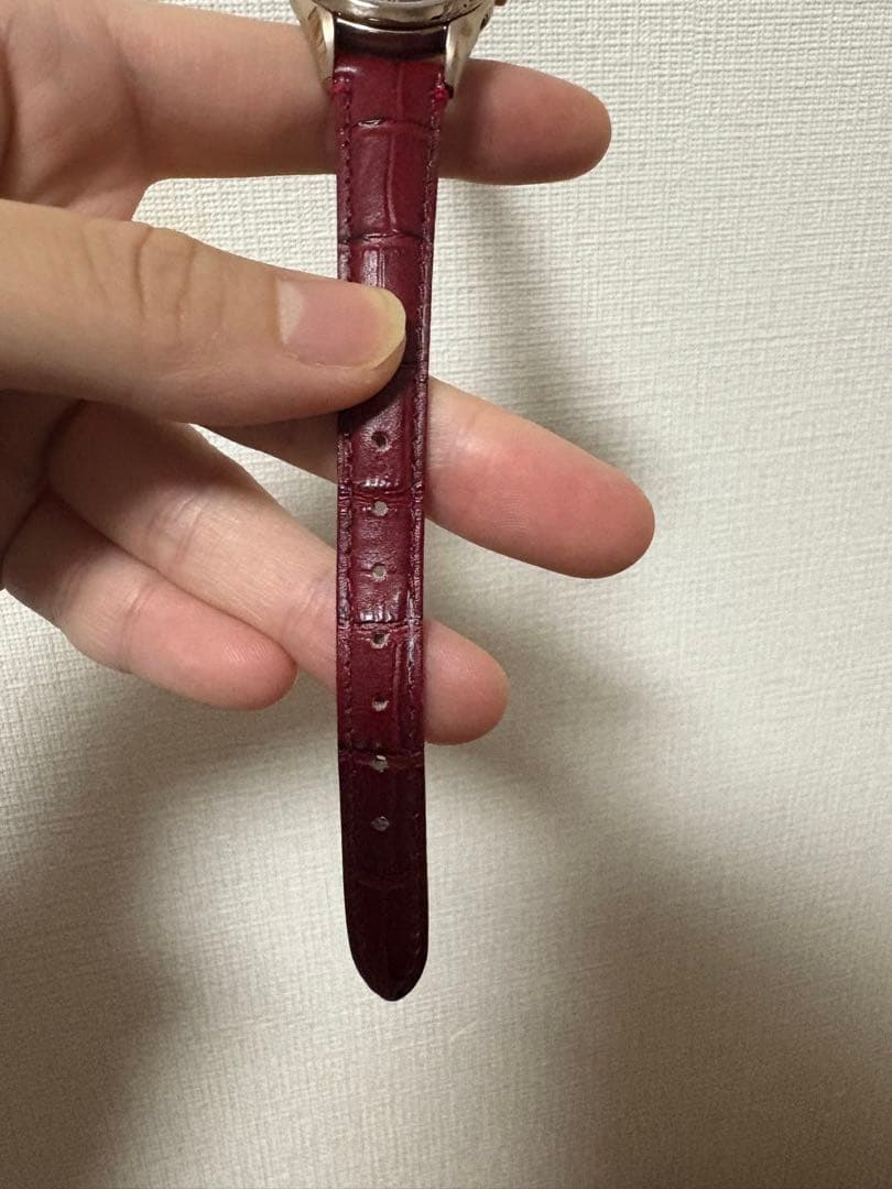 EcoMonty⭐︎⭐︎