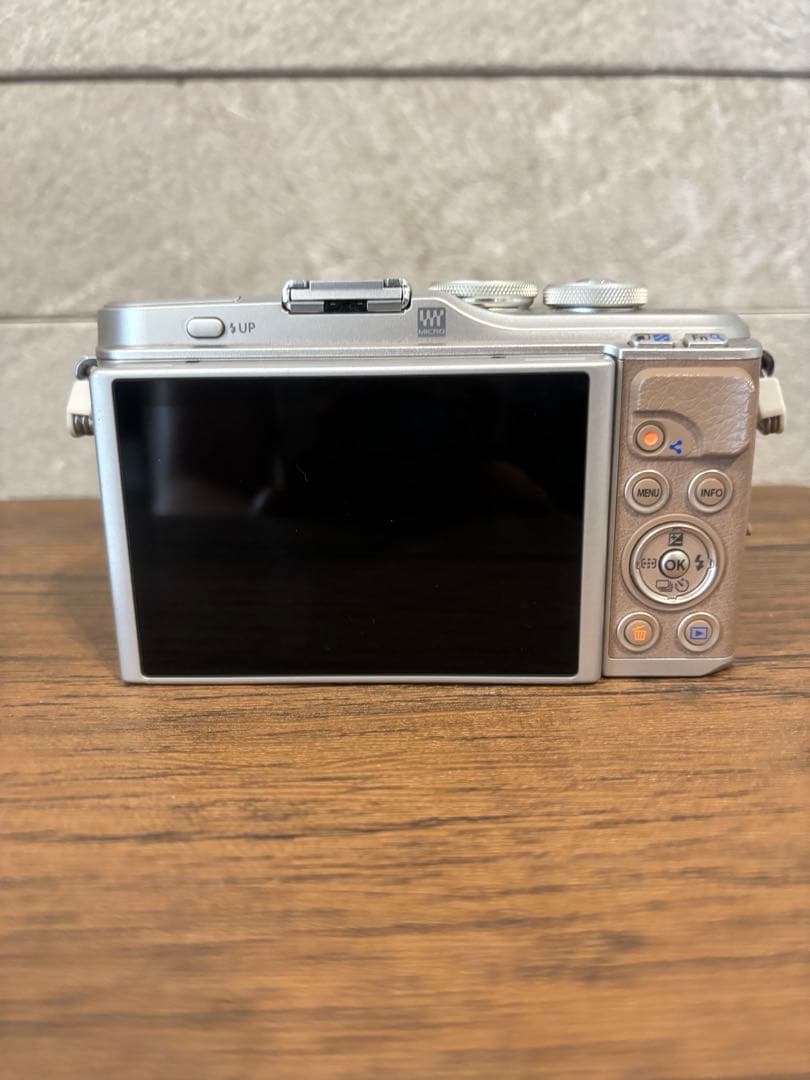 OLYMPUS PEN E-PL10 シャッター数1347