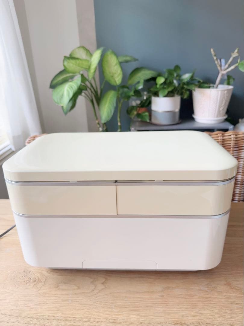 メーカー点検済み✴︎購入価格約34万円　サキナ　BIJOU ビジュー　美顔器