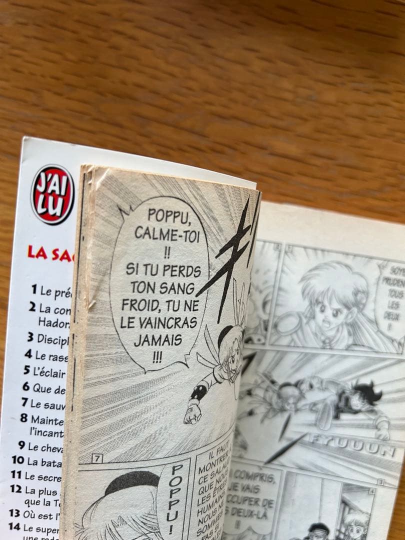 ダイの大冒険　FLY フランス語版　漫画　1〜37巻　三条陸　稲田浩司