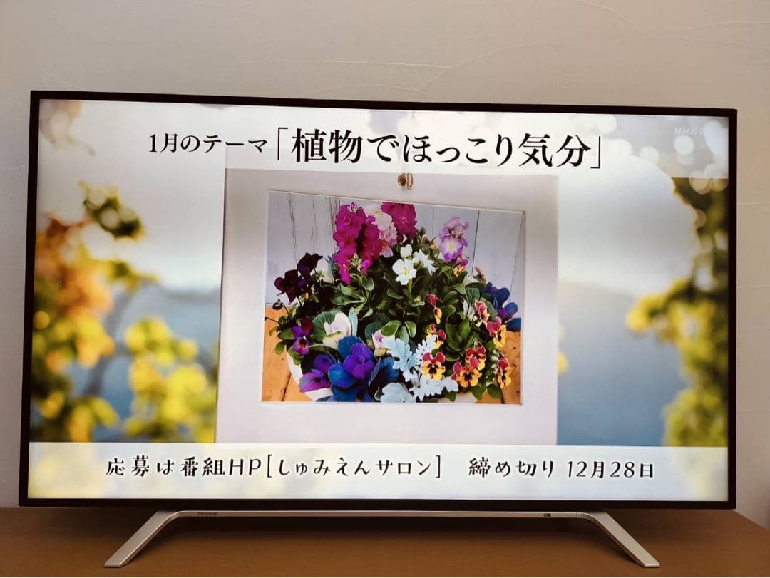 【値下げ】55Z700X 液晶テレビ 55インチタイムシフトREGZA