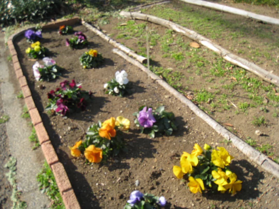 実写⭕️訳あり【動作確認済】Canon IXY DIGITAL 910 IS