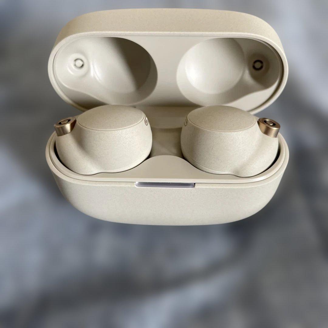 【もしもまま専用】 SONY WF-1000XM4 ワイヤレスイヤホン