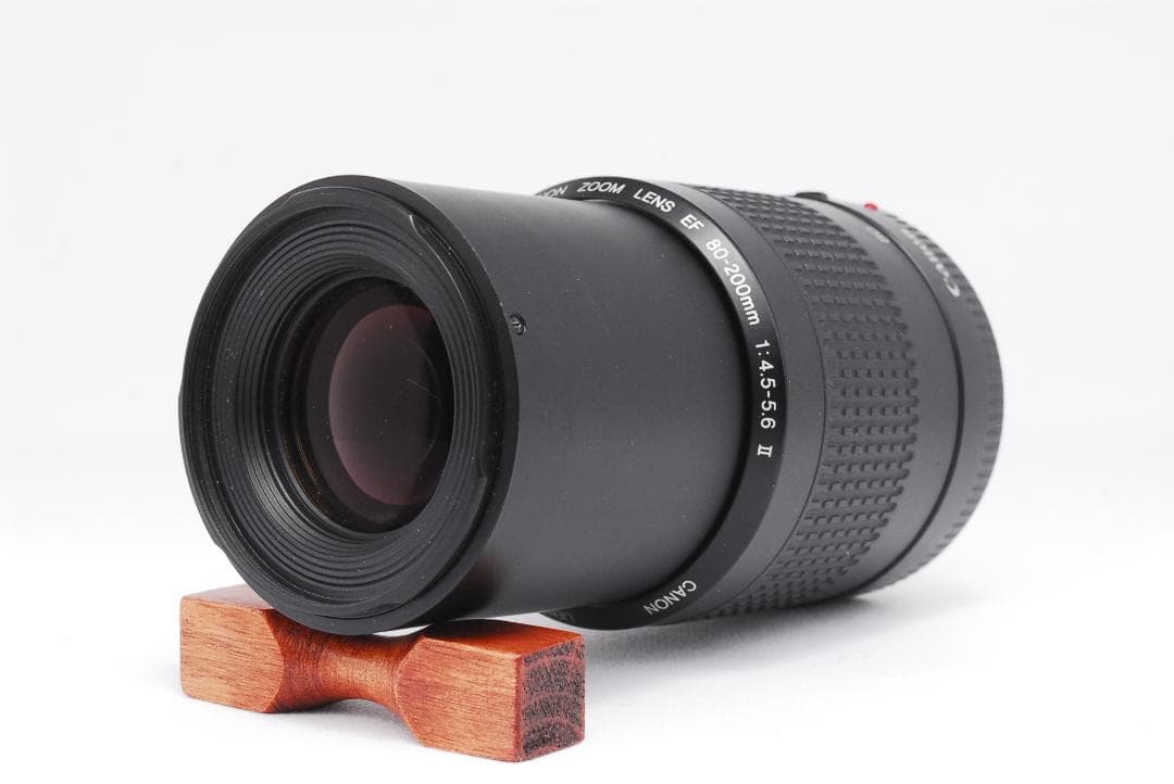 ⭐️初心者オススメ⭐️Canon EOS Kiss X5 一眼レフ