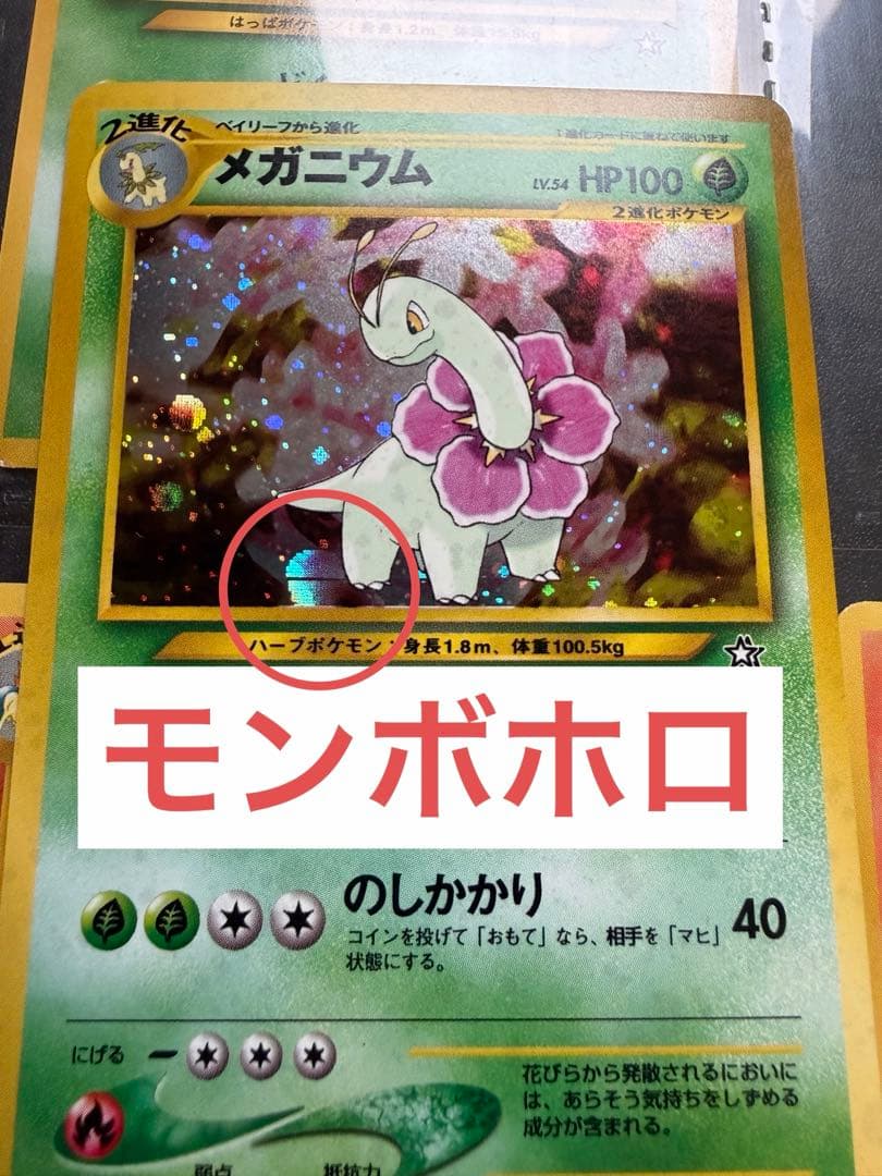 さ*い様 ポケモンカード　ネオ　金銀発売記念　プレミアムファイル　旧裏　9枚セッ