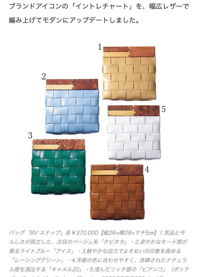 ボッテガ　クラッチバッグ　BV スナップ　レア　新品