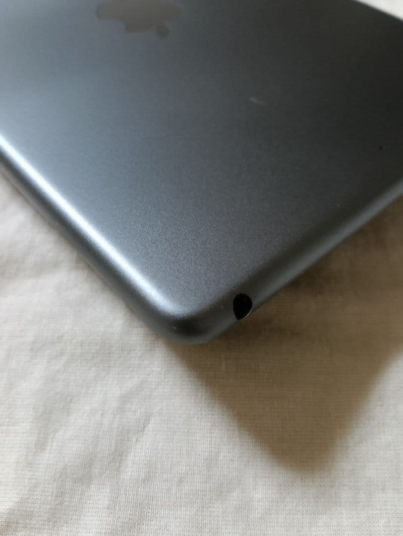 iPad mini 第5世代 バッテリー84%