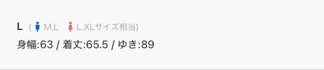 新品　THE NORTH FACE ワンポイント ロゴ刺繍 オーバースウェット