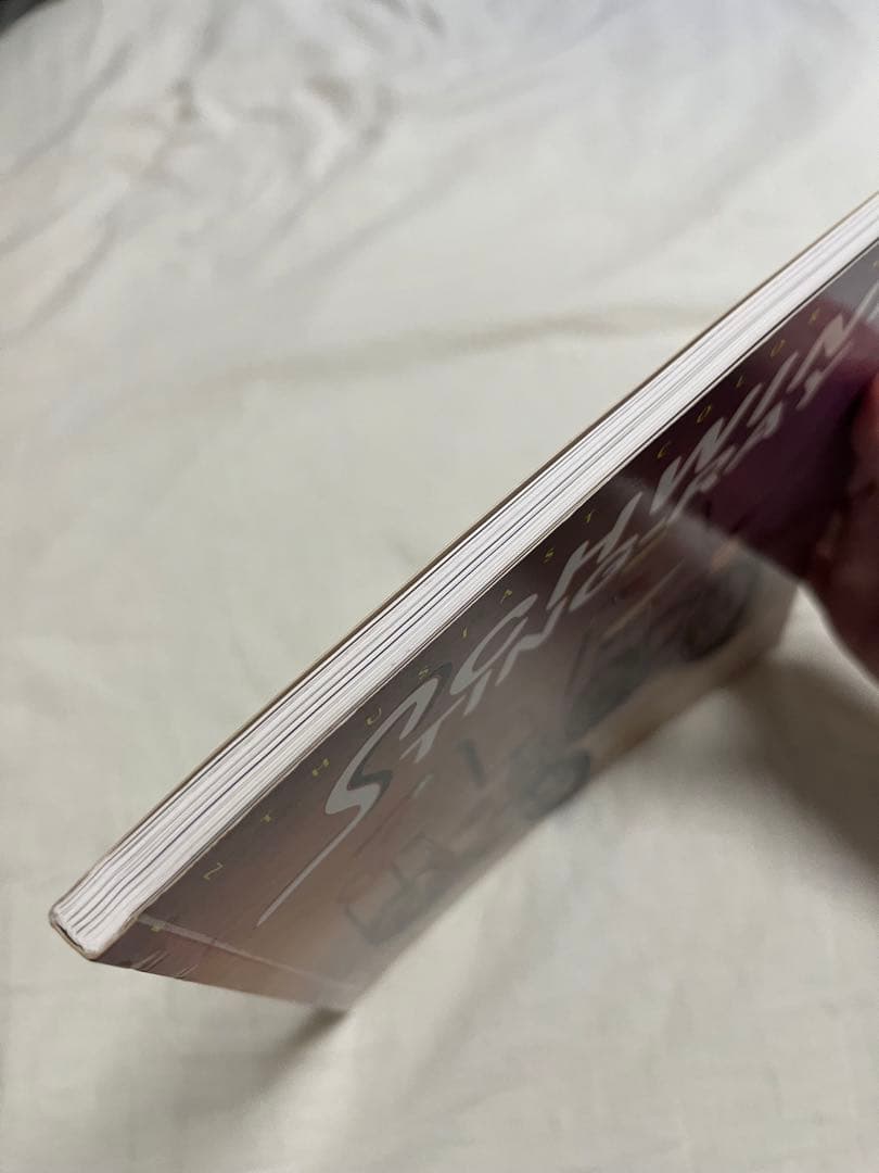 shwinn stingray シュウィン スティングレー 絶版コレクター本