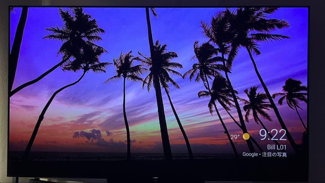 美品 SONY BRAVIA KJ-65A9G
