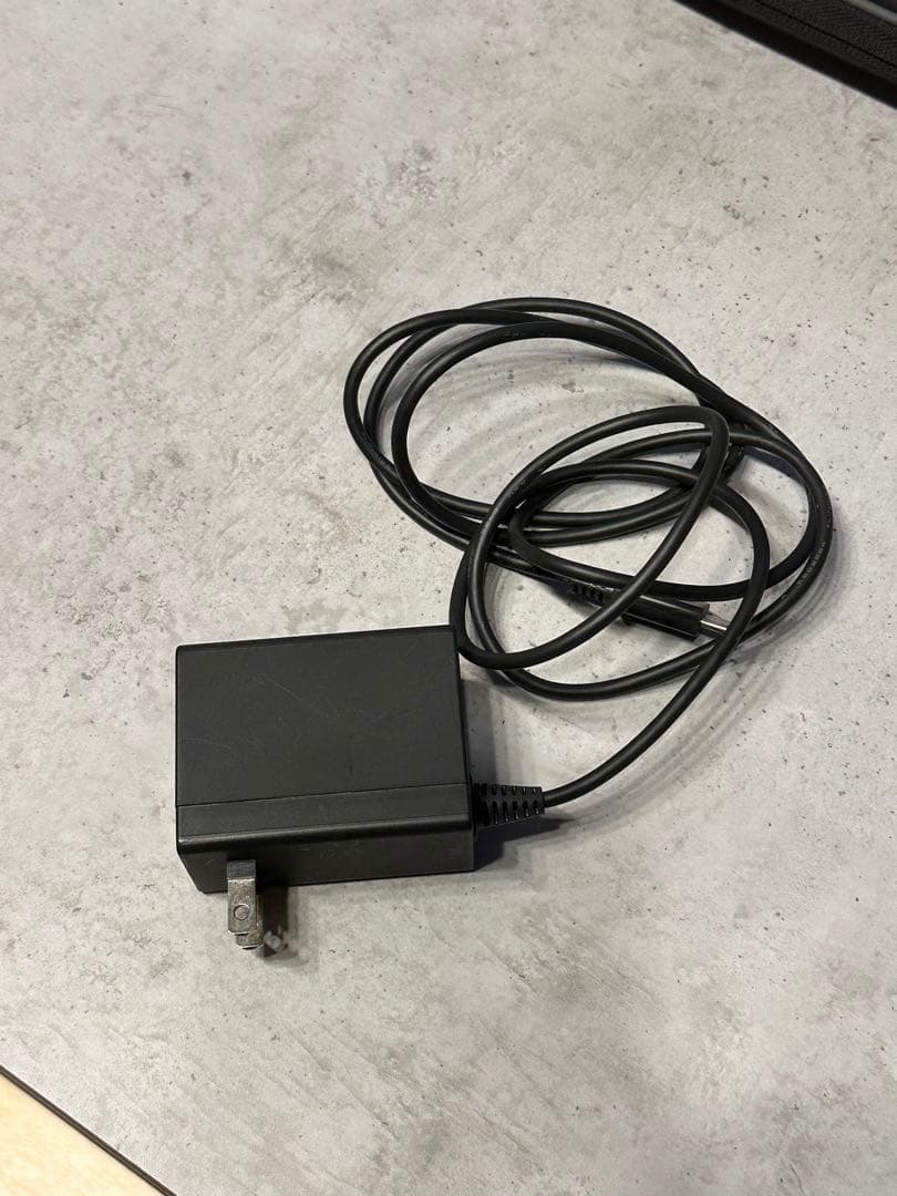 ニンテンドーswitch light グレー　 本体•充電器•ケースセット