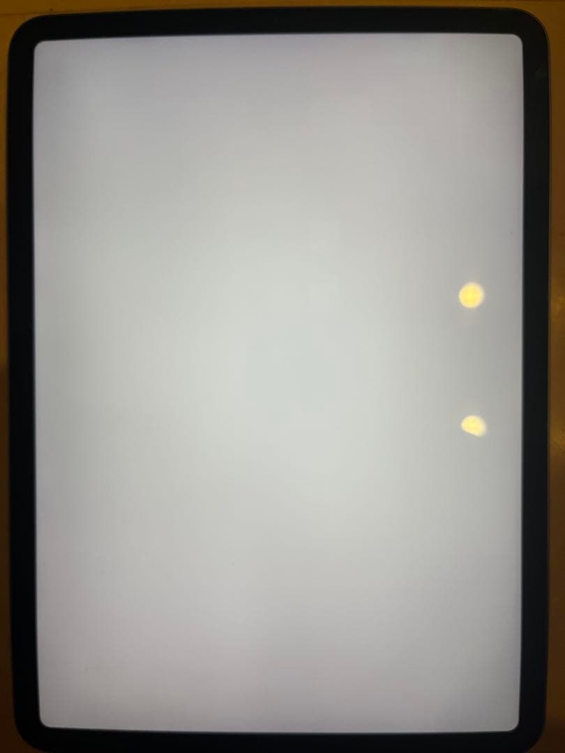 iPadPro 11インチ 第2世代 Wi-Fi 128GB