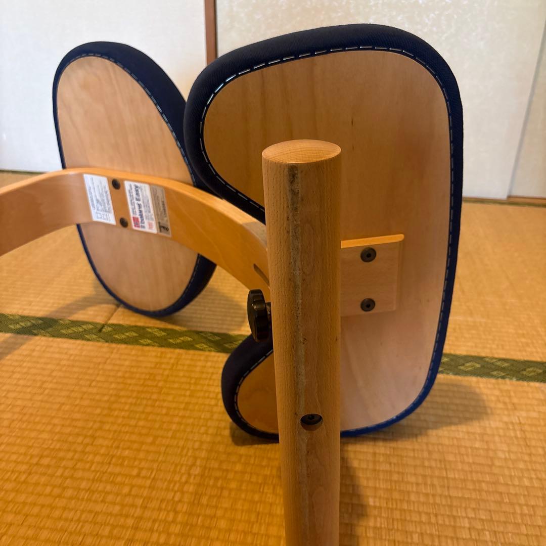 Balance Easy バランスイージー ネイビー